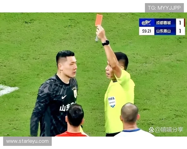 不当行为判罚中黄牌与红牌的判定依据